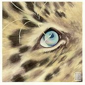 Corso: Ritratti espressivi di animali ad acquerello. Traditional illustration, Watercolor Painting, Painting, and Naturalistic Illustration project by Selene Nardelli - 03.06.2022
