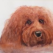 My final project for Expressive Animal Portraits in Watercolour with Sarah Stokes. Un proyecto de Pintura a la acuarela de Jaine Tawton - 02.03.2022