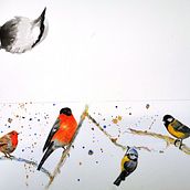 Mein Kursprojekt: Illustriere Vögel mit expressiven Aquarelltechniken. Traditional illustration, Watercolor Painting, Realistic Drawing, and Naturalistic Illustration project by Dieter Becker - 03.06.2022