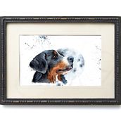 Mein Kursprojekt: Ausdrucksstarke Tierporträts in Aquarell. Un progetto di Illustrazione tradizionale, Pittura ad acquerello, Disegno realistico e Illustrazione naturalistica di Nicole Bertschus - 05.03.2022