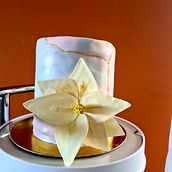 Mi Proyecto del curso: Decoración floral para Cake Design . % Nelsa Dijkhuizen tarafından hazırlanan Tasarım, Ve Kendin Yap projesi - 03.06.2022