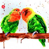 Mon projet du cours : Techniques artistiques d'aquarelle pour illustrer les oiseaux. Een project van Traditionele illustratie, Aquarelschilderen, Realistische tekening y Naturalistische illustratie van Hélène Willo - 17.05.2021
