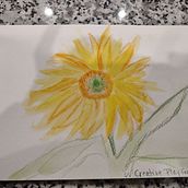 Creative Playful Ill, beginner watercolor. Watercolor Painting project by Lori Lambelet - 03.07.2022