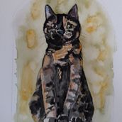My project for course: Expressive Animal Portraits in Watercolor. Traditional illustration, Watercolor Painting, Realistic Drawing, and Naturalistic Illustration project by Sally Haylock - 03.06.2022