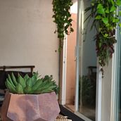 Mi Proyecto del curso: Diseño de interiores con plantas desde cero. Interior Design, L, scape Architecture, Decoration, Interior Decoration, DIY, Floral, Plant Design, and Spatial Design project by Ana Villarreal - 03.06.2022