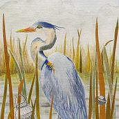 My project for course: Illustrating Nature: A Creative Exploration. Traditional illustration, Painting, Drawing, Watercolor Painting, Ink Illustration, and Naturalistic Illustration project by bethrobson - 03.09.2022