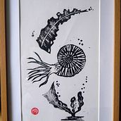 Linogravure Ammonite. Un progetto di Illustrazione tradizionale di Mathilde Allard - 09.03.2022