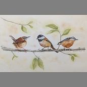 My project for course: Artistic Watercolor Techniques for Illustrating Birds. Traditional illustration, Watercolor Painting, Realistic Drawing, and Naturalistic Illustration project by Marcia Huff - 03.09.2022