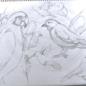 My project for course: Illustrating Nature: A Creative Exploration. Ilustração tradicional, Pintura, Desenho, Pintura em aquarela, Ilustração com tinta e Ilustração naturalista projeto de martabevilacqua - 07.03.2022