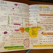 Mi Proyecto del curso: Introducción al bullet journal ilustrado. Traditional illustration, Arts, Crafts, Lettering, Drawing, Botanical Illustration, DIY, H, and Lettering project by cdd2hct45n - 03.10.2022