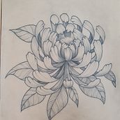 Mon projet du cours : Tatouage botanique en pointillisme. Traditional illustration, Tattoo Design, and Botanical Illustration project by carolinecoatalem - 03.01.2022