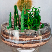 Meu projeto do curso: Arte vegetal: crie seu próprio terrário aberto. Interior Design, L, scape Architecture, Decoration, DIY, Floral, and Plant Design project by Rodrigo Soares - 03.11.2022