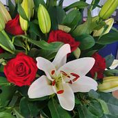 Living with his actions . Scriere, Narrativ, Scriere nonficțională și Scriere creativă de Donna Dehar - 04.03.2022