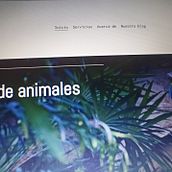 ExoticsPetVet, tu servicio veterinario de animales exóticos. Web Development, UX / UI, Web Design, and Digital Product Design project by Crístofer R - 03.12.2022