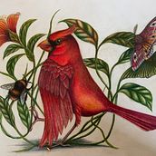 My project for course: Surrealist Illustration Inspired by Nature. Traditional illustration, Pencil Drawing, Drawing, Artistic Drawing, Naturalistic Illustration, and Colored Pencil Drawing project by Clare McFarlane - 03.13.2022