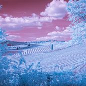 Campagna toscana ad infrarosso Ein Projekt aus dem Bereich Fotografie, Fotoretuschierung, Digitalfotografie, Außenfotografie, Architektonische Fotografie und Farbenlehre von Massimo Giannelli - 13.03.2022