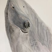 Mon projet du cours : Portraits expressifs d'animaux à l'aquarelle. Traditional illustration, Watercolor Painting, Realistic Drawing, and Naturalistic Illustration project by josianepasquier - 03.15.2022