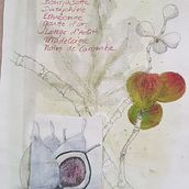Mein Kursprojekt: Experimentelle Illustration mit Tusche und Acryl. Traditional illustration, and Fine Arts project by Ingrid Habel - 03.15.2022
