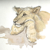 Animal portraits Ein Projekt aus dem Bereich Traditionelle Illustration von myclumsydance - 16.03.2022