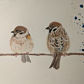 My project for course: Artistic Watercolor Techniques for Illustrating Birds. Traditional illustration, Watercolor Painting, Realistic Drawing, and Naturalistic Illustration project by kimi_skyblue5 - 03.16.2022