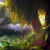My project for course: Speed Painting in Photoshop: Accelerate Your Creative Process. Traditional illustration, Digital Illustration, Concept Art, and Digital Painting project by Berfin Damla Fiskeci - 03.14.2022
