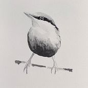 My project for course: Artistic Watercolor Techniques for Illustrating Birds. Traditional illustration, Watercolor Painting, Realistic Drawing, and Naturalistic Illustration project by Regina Go - 03.18.2022