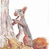 My project for course: Illustrating Nature: A Creative Exploration. Un proyecto de Ilustración tradicional, Pintura, Dibujo, Pintura a la acuarela, Ilustración con tinta e Ilustración naturalista				 de ewe - 18.03.2022
