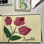 Mi Proyecto del curso: Cuaderno botánico en acuarela. Ilustração tradicional, Pintura em aquarela, Ilustração botânica, e Sketchbook projeto de Camila Schuckmann - 18.03.2022