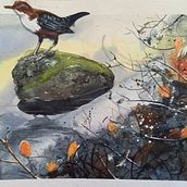 My project for course: Atmospheric Landscapes in Watercolor: The Dipper. Een project van  Beeldende kunst, Schilderij y Aquarelschilderen van Terri Bate - 18.03.2022