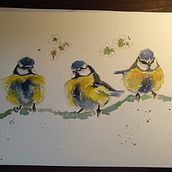 Il mio progetto del corso: Acquerello artistico per illustrazione di animali: gli uccelli. Un progetto di Illustrazione tradizionale, Pittura ad acquerello, Disegno realistico e Illustrazione naturalistica di eleonoraiotti71 - 18.03.2022
