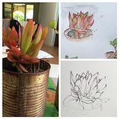 Sketching in Nature . Un progetto di Illustrazione tradizionale, Bozzetti, Disegno, Pittura ad acquerello, Illustrazione botanica e Sketchbook di Jenny Alphen - 30.10.2022