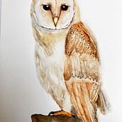 Meu projeto do curso: Retratos expressivos de animais em aquarela. Traditional illustration, Watercolor Painting, Realistic Drawing, and Naturalistic Illustration project by Gilda Pica - 03.19.2022