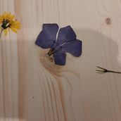 Mi Proyecto del curso: Técnicas básicas de prensado botánico. Un progetto di Artigianato, Belle arti, Collage, DIY e Design floreale e vegetale di Daniel - 19.03.2022