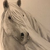 My project for course: Expressive Animal Portraits in Watercolor. Traditional illustration, Watercolor Painting, Realistic Drawing, and Naturalistic Illustration project by Karen - 01.29.2022