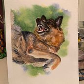 My project for course: Expressive Animal Portraits in Watercolor. Watercolor Painting project by rnedge - 03.15.2022