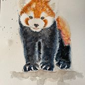 Mijn project van de cursus: Expressieve dierlijke portretten in aquarel. Traditional illustration, Watercolor Painting, Realistic Drawing, and Naturalistic Illustration project by Karin Maan - 03.20.2022