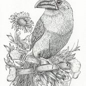 Mein Kursprojekt: Kugelschreiberzeichnungen: Naturalistische Illustration. Un proyecto de Ilustración tradicional, Dibujo, Dibujo realista e Ilustración naturalista				 de Gabriele Terwolbeck - 20.03.2022
