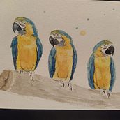 My project for course: Artistic Watercolor Techniques for Illustrating Birds. Traditional illustration, Watercolor Painting, Realistic Drawing, and Naturalistic Illustration project by Olive - 03.21.2022