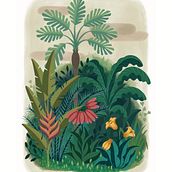 Amazonas. Un progetto di Illustrazione tradizionale, Illustrazione digitale e Illustrazione naturalistica di Giuditta Bussetti - 21.03.2022