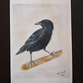 ilustraciones creadas a mano y luego digitalizadas. Un proyecto de Ilustración tradicional de Mar Tenor - 01.01.2022