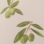 Il mio progetto del corso: Disegno botanico realistico ad acquerello. Design, Traditional illustration, Fine Arts, Painting, Watercolor Painting, and Botanical Illustration project by peyro - 03.21.2022