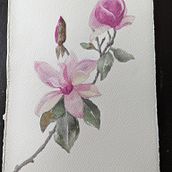 My project for course: Botanical Watercolor: Illustrate the Anatomy of Flowers. Traditional illustration, Fine Arts, Painting, Drawing, Watercolor Painting, and Botanical Illustration project by kimi_skyblue5 - 03.21.2022