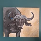 Cape Buffalo. Fine Arts, and Traditional illustration project by sweldforester - 03.22.2022