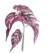Meu projeto do curso: Ilustração botânica com aquarela Ein Projekt aus dem Bereich Traditionelle Illustration, Bildende Künste, Malerei, Zeichnung, Aquarellmalerei und Botanische Illustration von Daise Morais - 23.03.2022