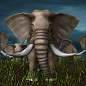 Elefante Africano. 3D, Character Design, Sculpture, 3D Modeling, and 3D Design project by Laura Innes - 12.26.2021