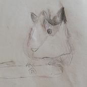 Mis dibujos. Traditional illustration project by José Paz - 03.23.2022