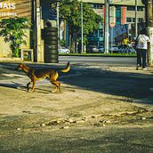 Aquela velha câmera naquela manhã ensolarada. Un proyecto de Fotografía, Fotografía en exteriores, Fotografía documental, Fotografía Lifest y le de cristina_f_santana - 23.03.2022