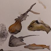Poissons . Traditional illustration project by Tamara - 03.23.2022