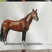 Supremo de Palo Santo . Een project van Aquarelschilderen van MariFer SalAngo - 23.03.2022