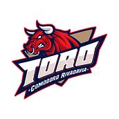TORO. Un proyecto de Ilustración vectorial y Lettering de Agustín Pizarro Maire - 28.02.2018
